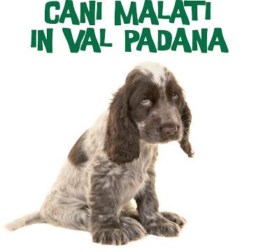 Cani malati in Val Padana – di Francesco Rago (Ultra)
