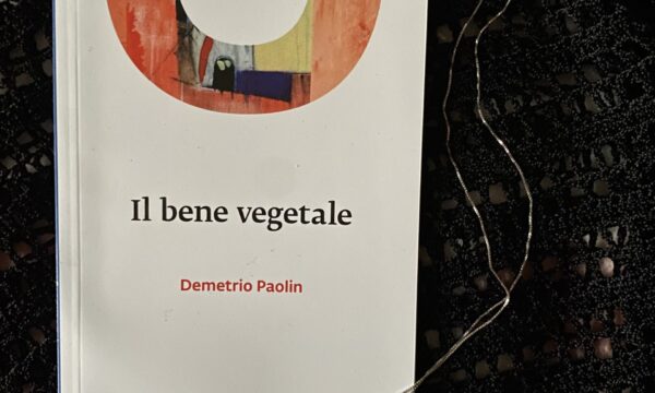 “Il bene vegetale” di Demetrio Paolin (Blonk)
