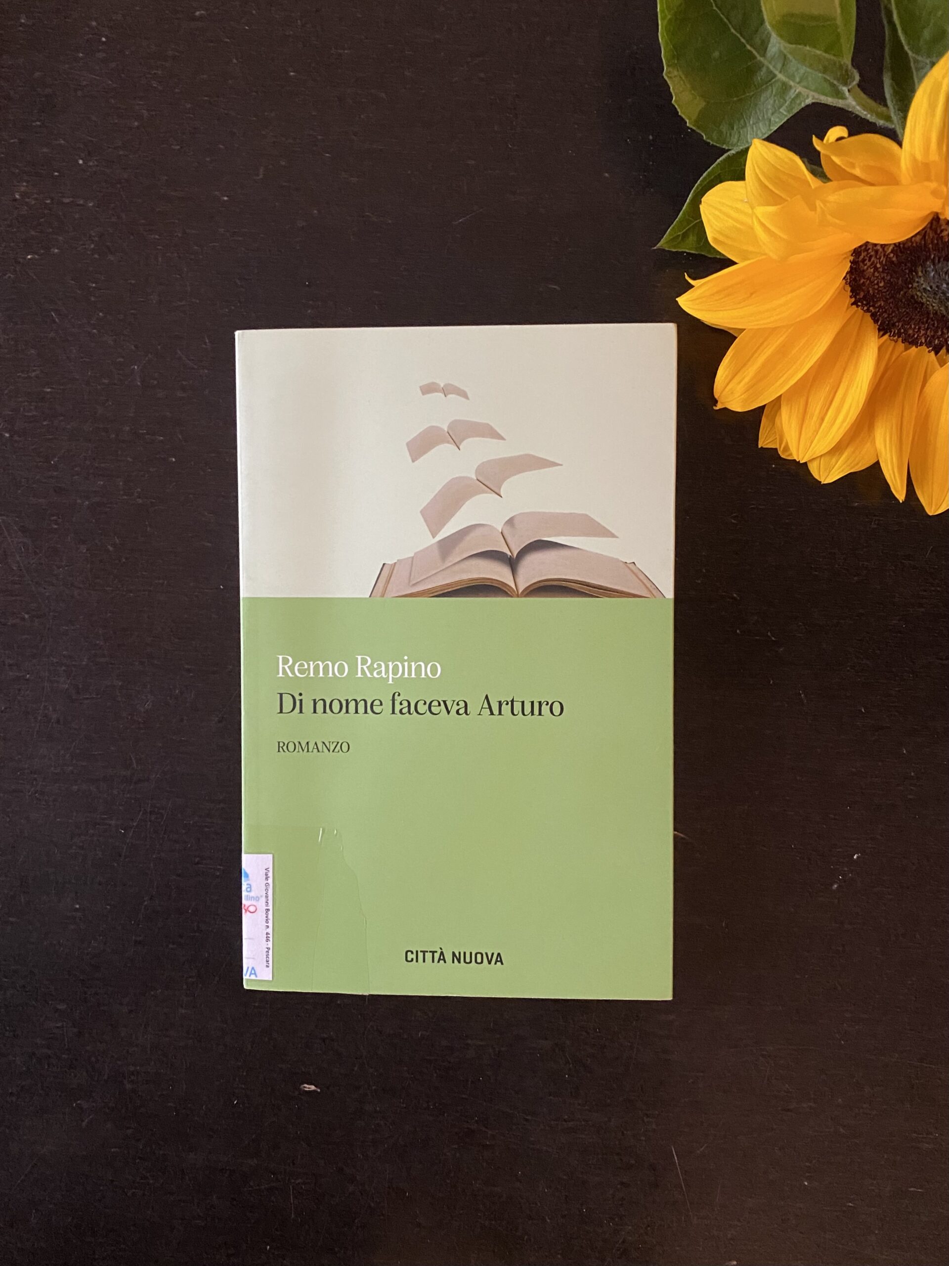 di-nome-faceva-arturo-recensione